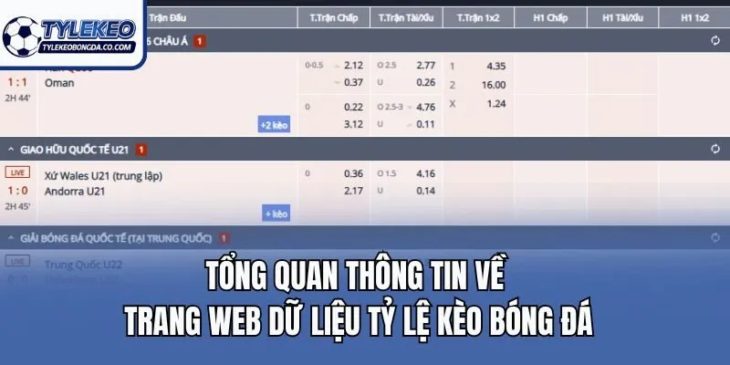 Tổng quan thông tin về trang web dữ liệu Tỷ lệ kèo bóng đá
